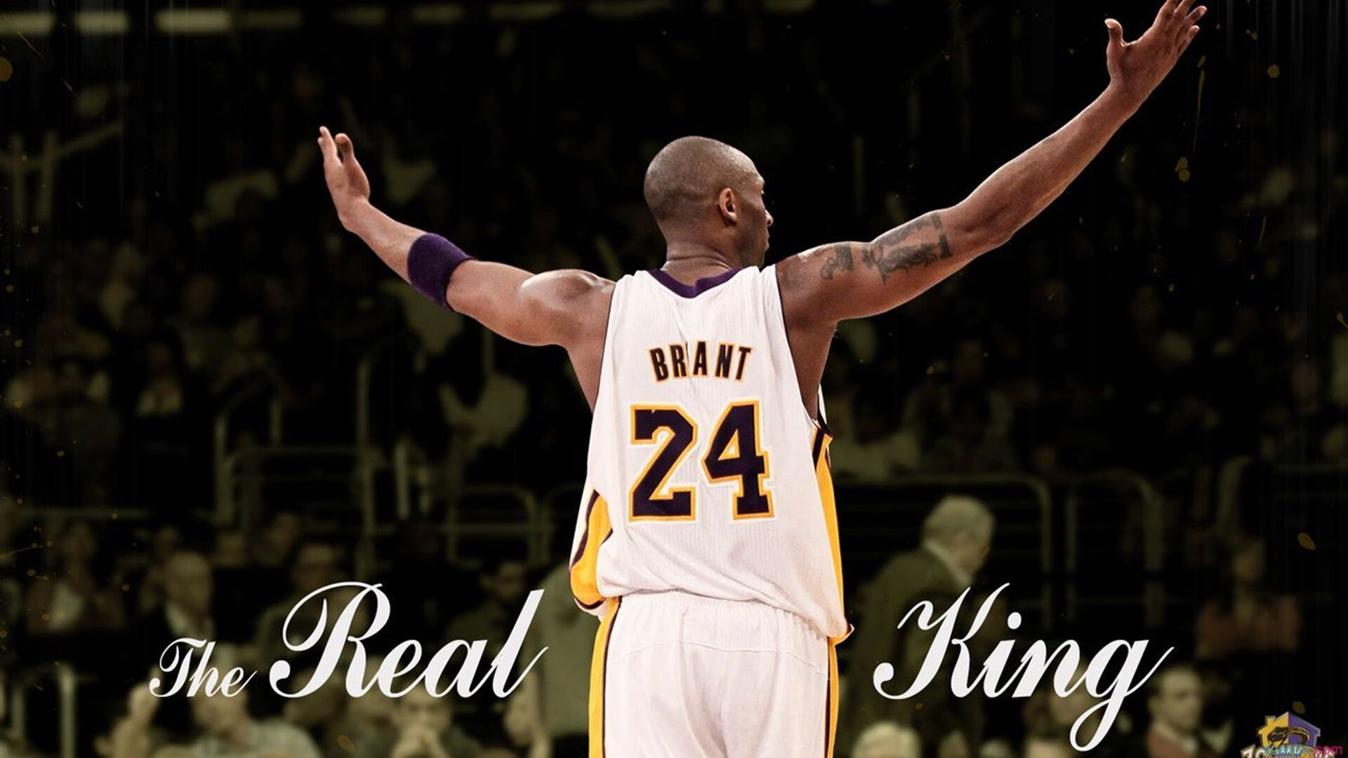 NBA球员伤病康复管理技术，nba球员伤病史