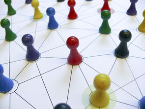 爱游戏体育娱乐-中国篮球教练员领导力培养路径，中国篮球协会篮球教练员等级